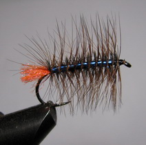 ���� ������ PLM 021 brown - blue # 6 